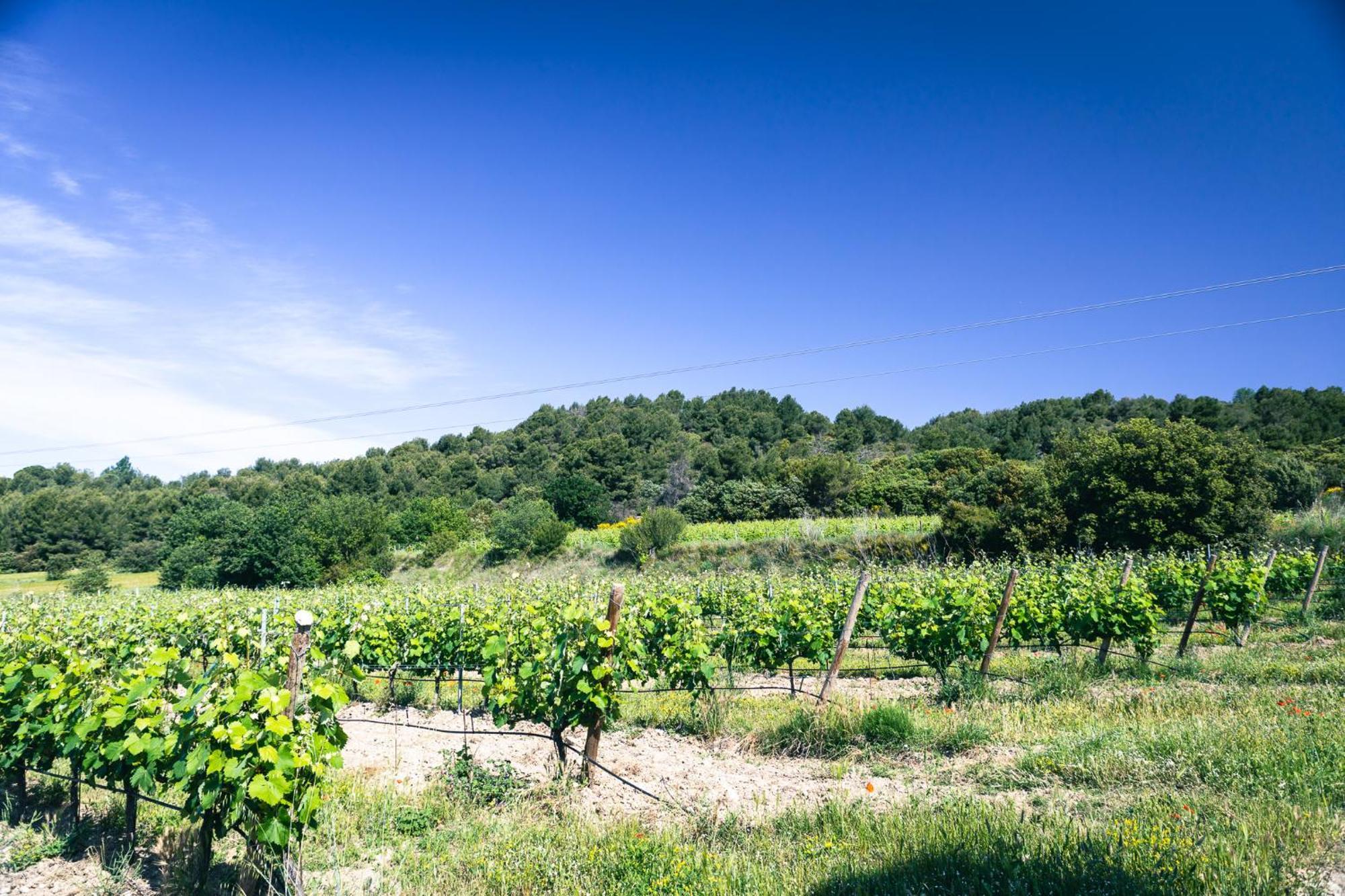 Апартаменты Domaine Des Peyre Robion en Luberon Экстерьер фото